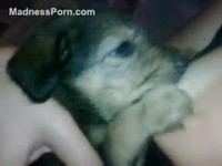 Amateur housewife letting her new puppy suck her big breast